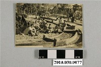 藏品(公園中的合影)的圖片