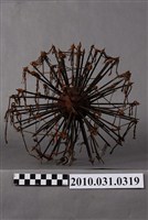 藏品(刺球)的圖片