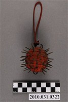 藏品(刺球)的圖片