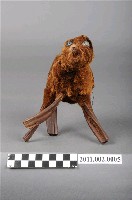 藏品(金毛狗)的圖片