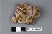 藏品(四繫褐釉罐殘片)的圖片