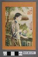 藏品(盛進商行茶舖臺灣特產烏龍茶紅茶廣告)的圖片