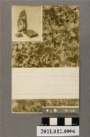 藏品(新竹州商工獎勵館發行新竹州木工品)的圖片