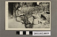 藏品(原住民婦女的針縫)的圖片