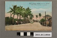 藏品(臺灣高雄新濱町椰林道)的圖片