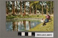 藏品(臺北生蕃屋本店發行臺北植物園水池)的圖片