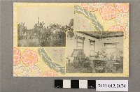 藏品(臺灣婦人慈善會紀念之遊行與聚會)的圖片