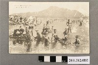 藏品(淡水海水浴場)的圖片