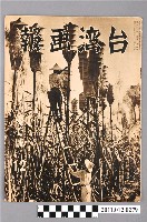 藏品(臺灣畫報社出版《臺灣畫報》第7號)的圖片