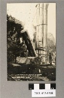 藏品(阿里山集材機及積材車)的圖片