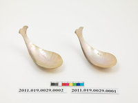 藏品(貝匙)的圖片