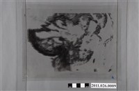 藏品(吳信政編輯中國地形圖)的圖片