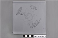 藏品(吳信政編輯南半球水域等高線圖)的圖片