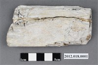 藏品(磨製石錛)的圖片