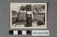 藏品(基地內草叢邊直立柱體)的圖片