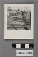 藏品(基地內水道工程工人施工)的圖片