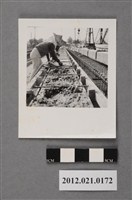 藏品(基地內工程戴斗笠工人彎腰施工黑白照片)的圖片