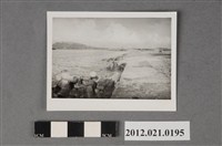 藏品(海軍基地碼頭海邊消波塊)的圖片