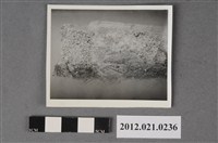 藏品(石塊海邊碼頭堤岸)的圖片