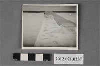 藏品(碼頭堤岸鋼條裸露)的圖片