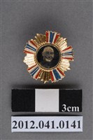 藏品(志願留營紀念章)的圖片