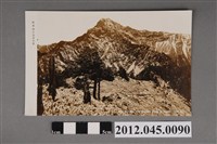 藏品(新高山玉山三九五○米)的圖片