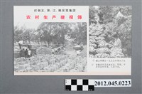 藏品(｢打倒王張江姚反黨集團 農村生產捷報傳｣中國共產黨對臺灣政治宣傳單)的圖片
