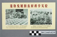 藏品(｢蓬勃發展的農村科學實驗｣中國共產黨對臺灣政治宣傳單)的圖片
