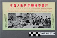 藏品(｢王賈大隊科學種田奪高產｣中國共產黨對臺灣政治宣傳單)的圖片