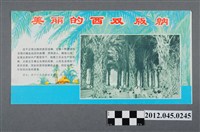 藏品(｢美麗的西雙版納｣中國共產黨對臺灣政治宣傳單)的圖片