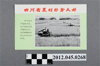 藏品(｢四川省農村形勢大好｣中國共產黨對臺灣政治宣傳單)的圖片