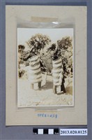 藏品(水社大山日月潭遊覽紀念)的圖片