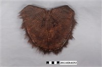 藏品(上半身簑衣)的圖片