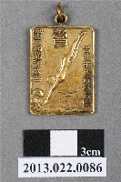 藏品(第1屆游泳大會獎牌樣品)的圖片