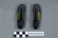 藏品(楊傳廣贈張星賢紀念藍底黃條紋釘鞋一雙)的圖片