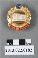 藏品(國民黨菲律賓總支部慶祝自由大廈落成紀念章)的圖片