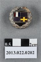 藏品(1967年旗幟紀念章)的圖片