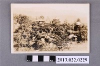 藏品(美國加州好萊塢山城日式庭園)的圖片