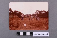 藏品(張星賢夫婦等六人於墓園合影)的圖片