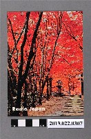 藏品(日本廣播電臺出版京都高山寺的紅葉)的圖片