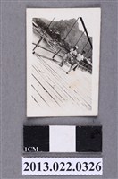 藏品(張星賢長子與朋友合照)的圖片