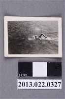 藏品(張星賢次子游泳照)的圖片