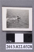 藏品(張星賢次子游泳照)的圖片