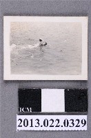 藏品(張星賢次子游泳照)的圖片