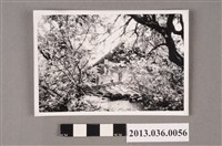 藏品(新竹北郭園梳妝樓黑白照片（李守仁先生攝）)的圖片