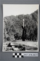 藏品(蔣中正)的圖片