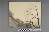 藏品(中橫風景)的圖片