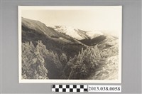 藏品(中橫溪谷吊橋風景)的圖片