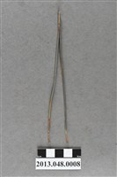 藏品(鑷子)的圖片