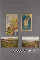 藏品(臺灣茶之明信片)的圖片